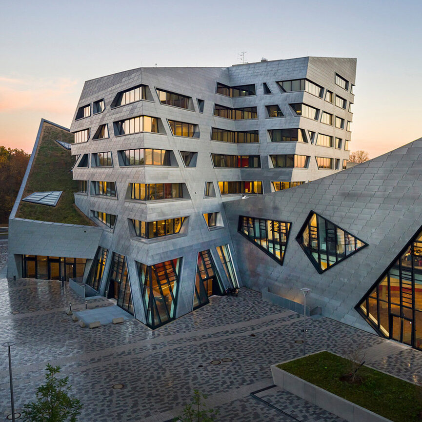 Select Dynamic field