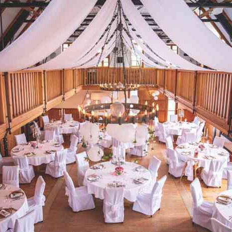 Select Dynamic field